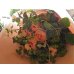 画像1: Round Bouquet  -丸いスタイルの花束- (1)